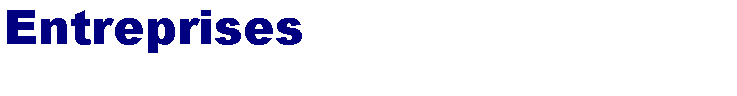 Zone de Texte: Entreprises