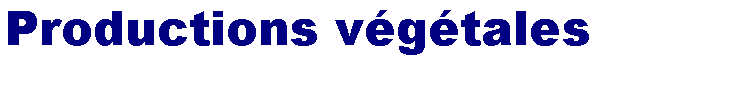 Zone de Texte: Productions vgtales